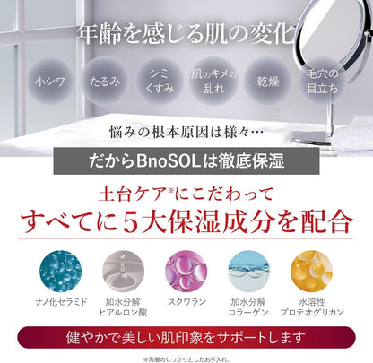 BnoSOL ナノクリアＷクレンジングジェル